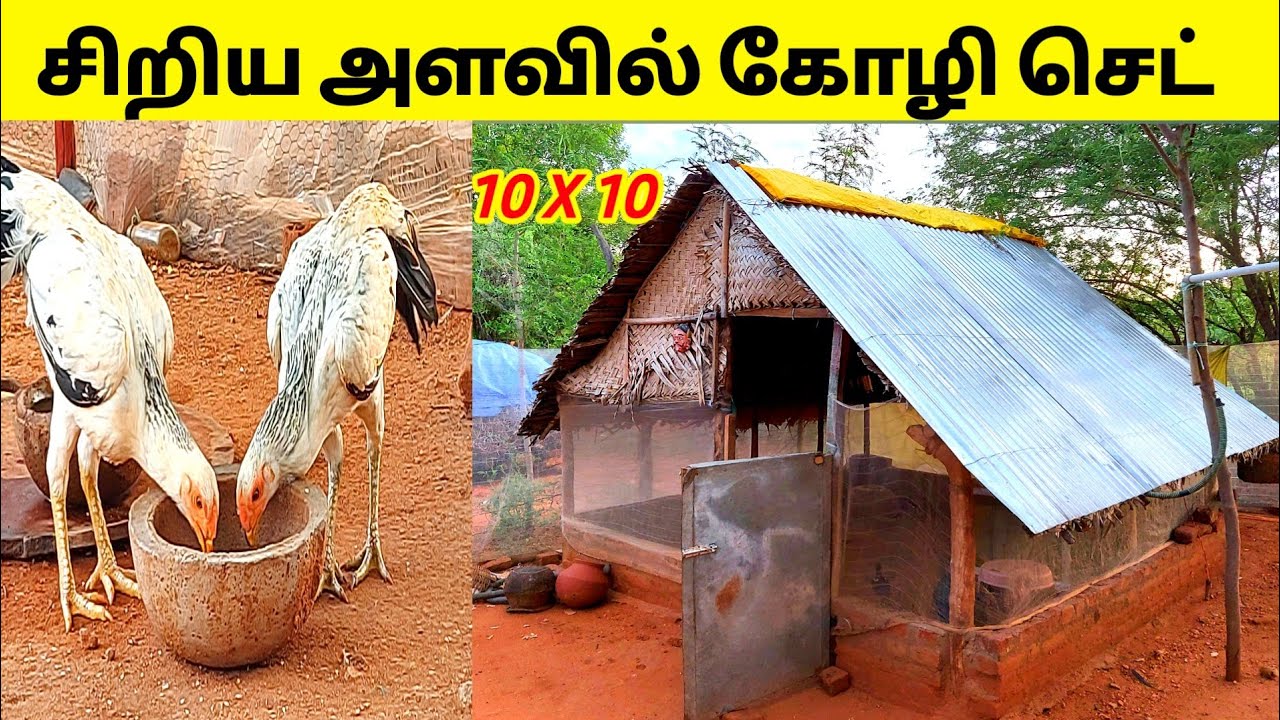 சிறிய அளவில் கோழிப்பண்ணை அமைக்க|Small size chicken shed making  in tamil