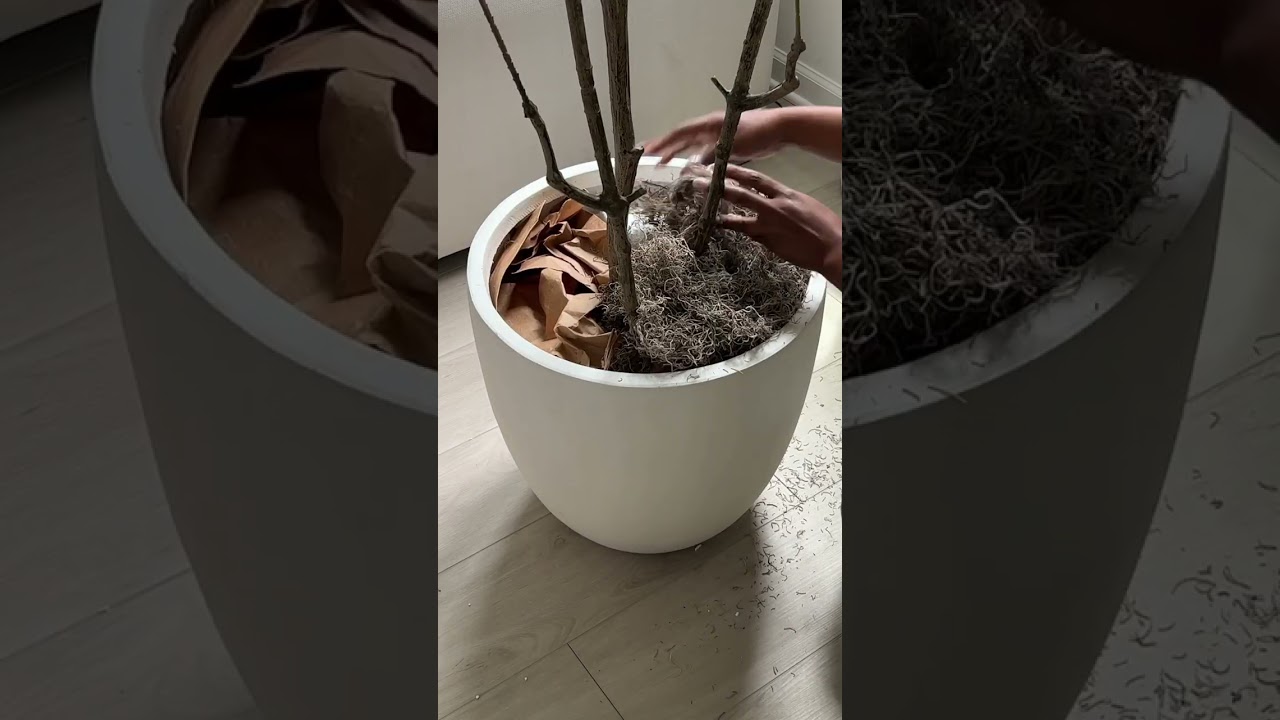 The Secret To My Huge Planter