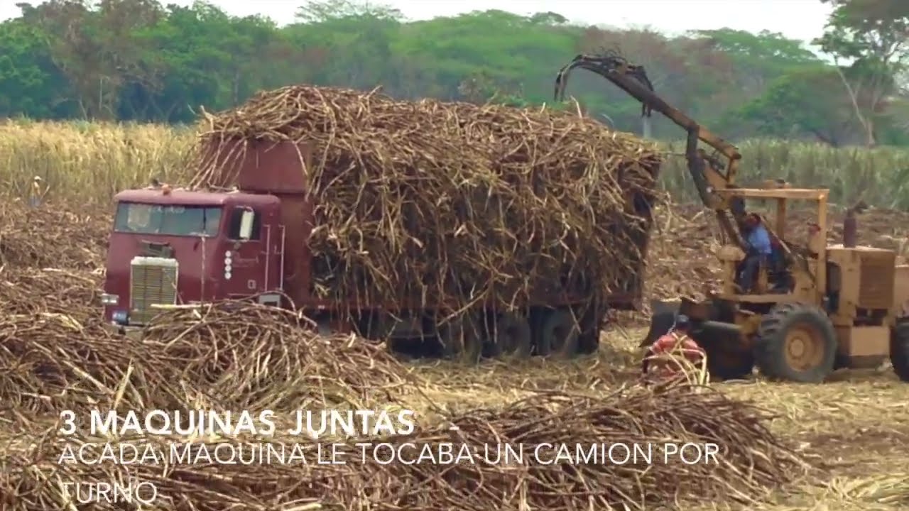 Zafra y Temporada de Caña El Salvador #9