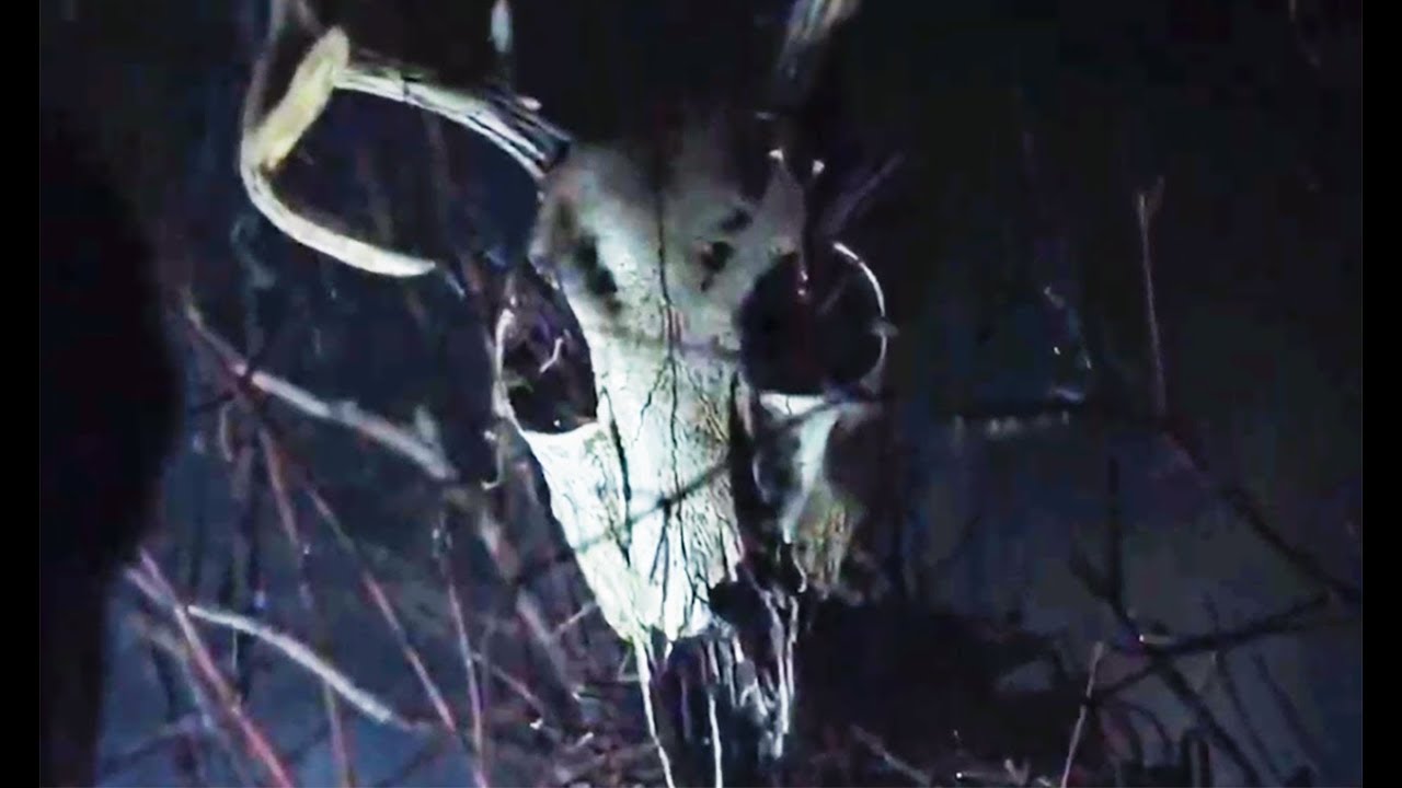 THE WRETCHED Official Trailer (2019) Horror Movie HD