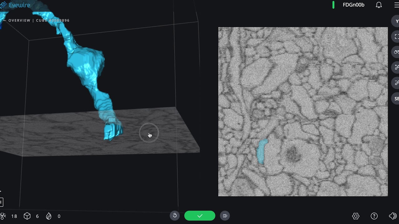 Eyewire New Player Cube Trace and User Interface