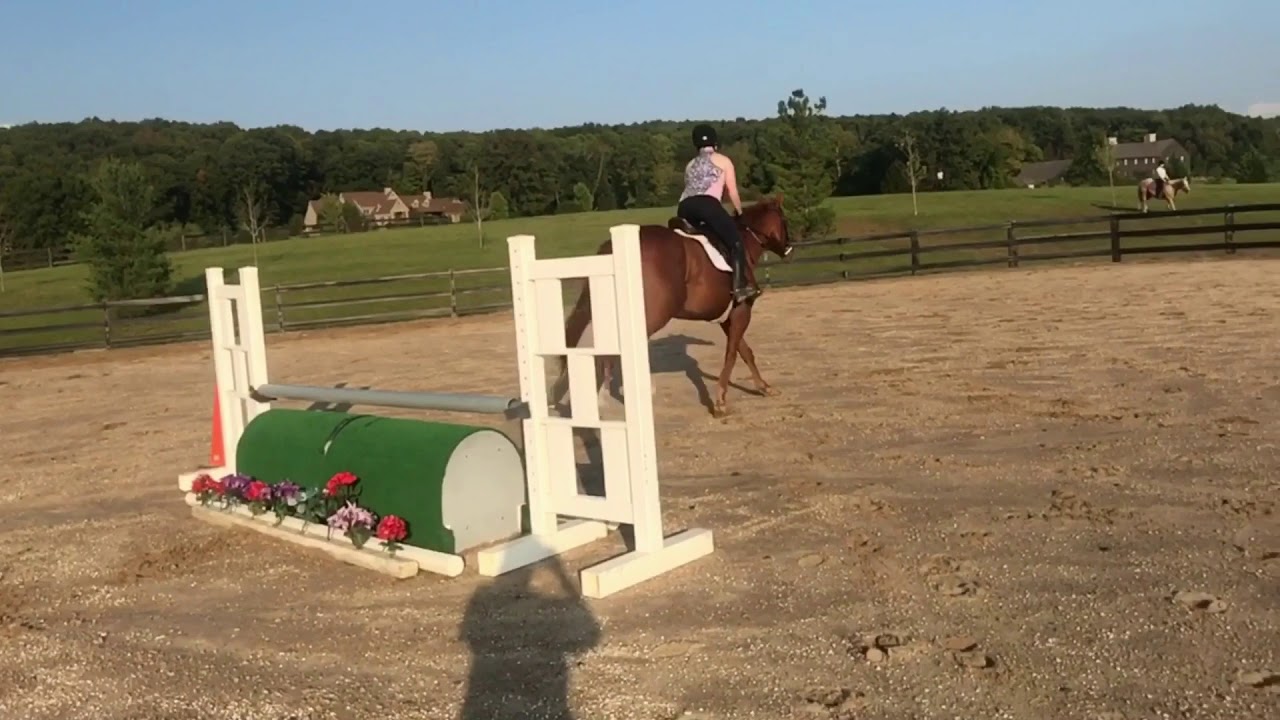 2017 Riding Career of Meagan DeLisle