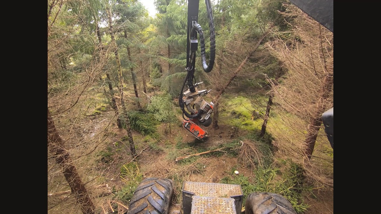 Eco Log 560D med Log Max 5000 i skånsk förstagallring!