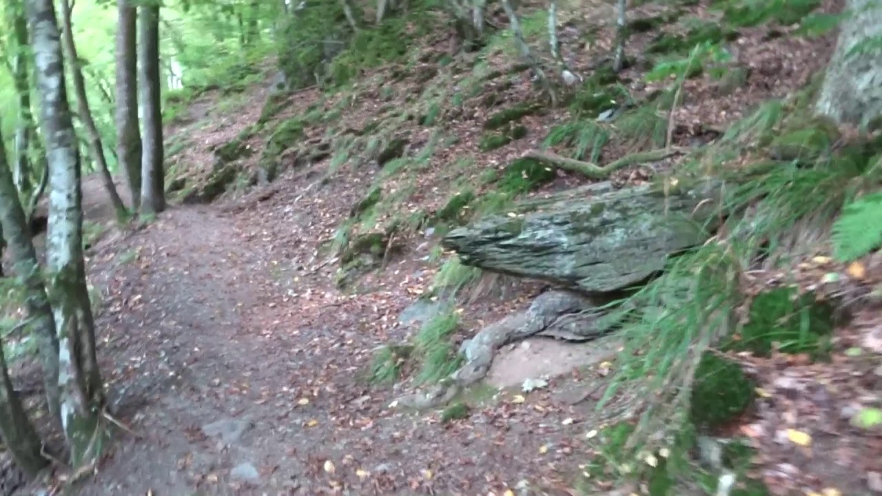 Escapardenne Eisleck Trail 4.