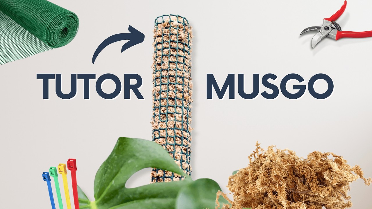Cómo Hacer un Tutor de Musgo Sphagnum para Plantas de Interior | Guía Fácil y Paso a Paso - Plántate