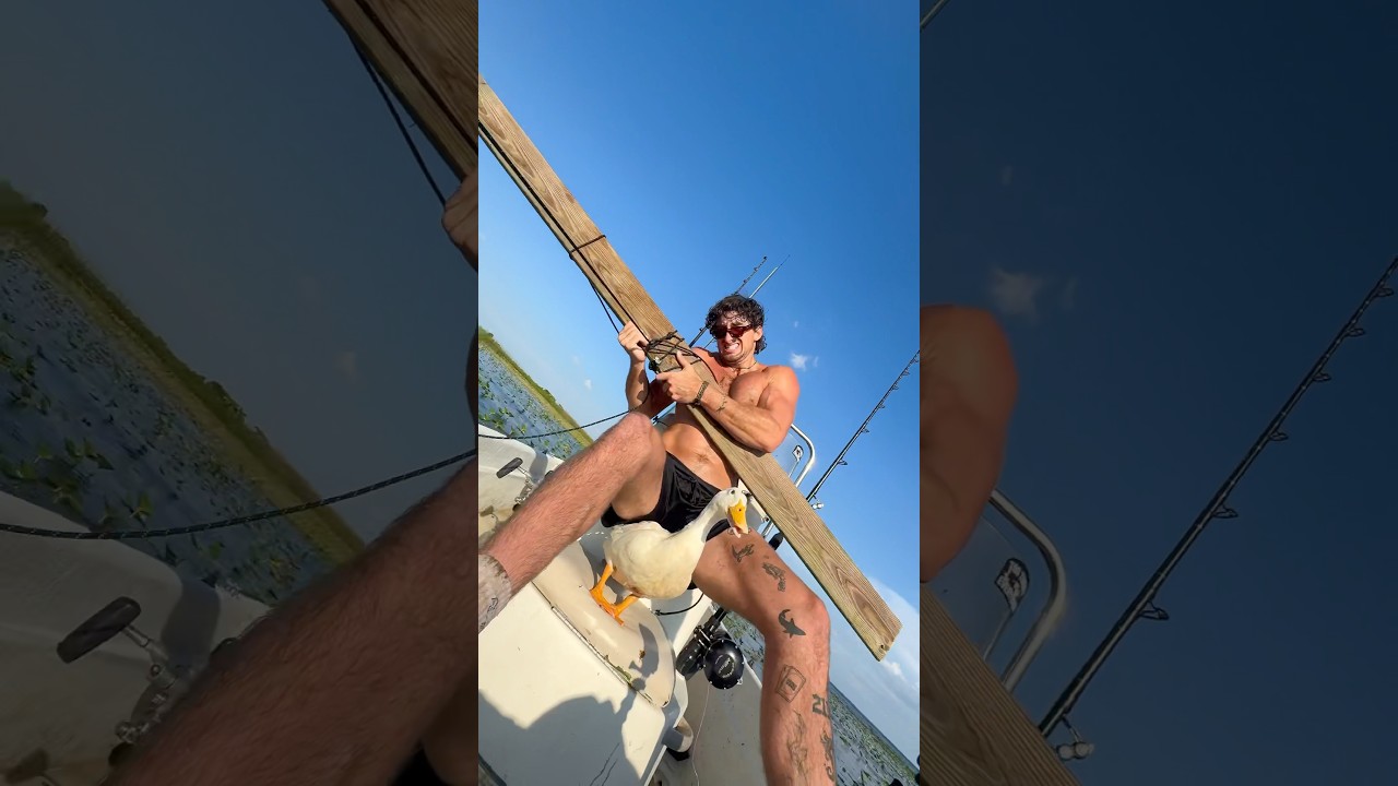 HOOKING A GATOR 🐊