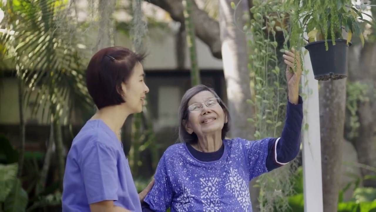 Prevent Dementia Naturally  The Miracle Herb Revealed