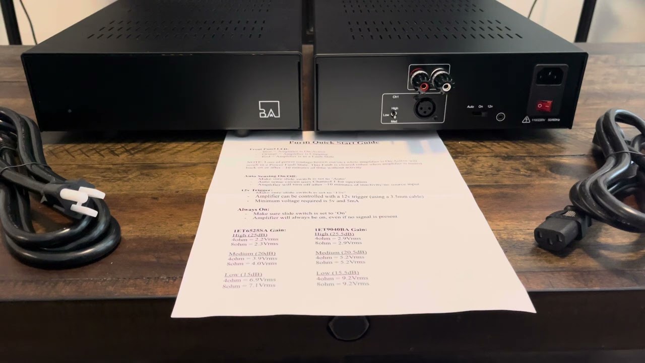 Buckeye Amps Purifi 1ET9040BA initial thoughts after unboxing.