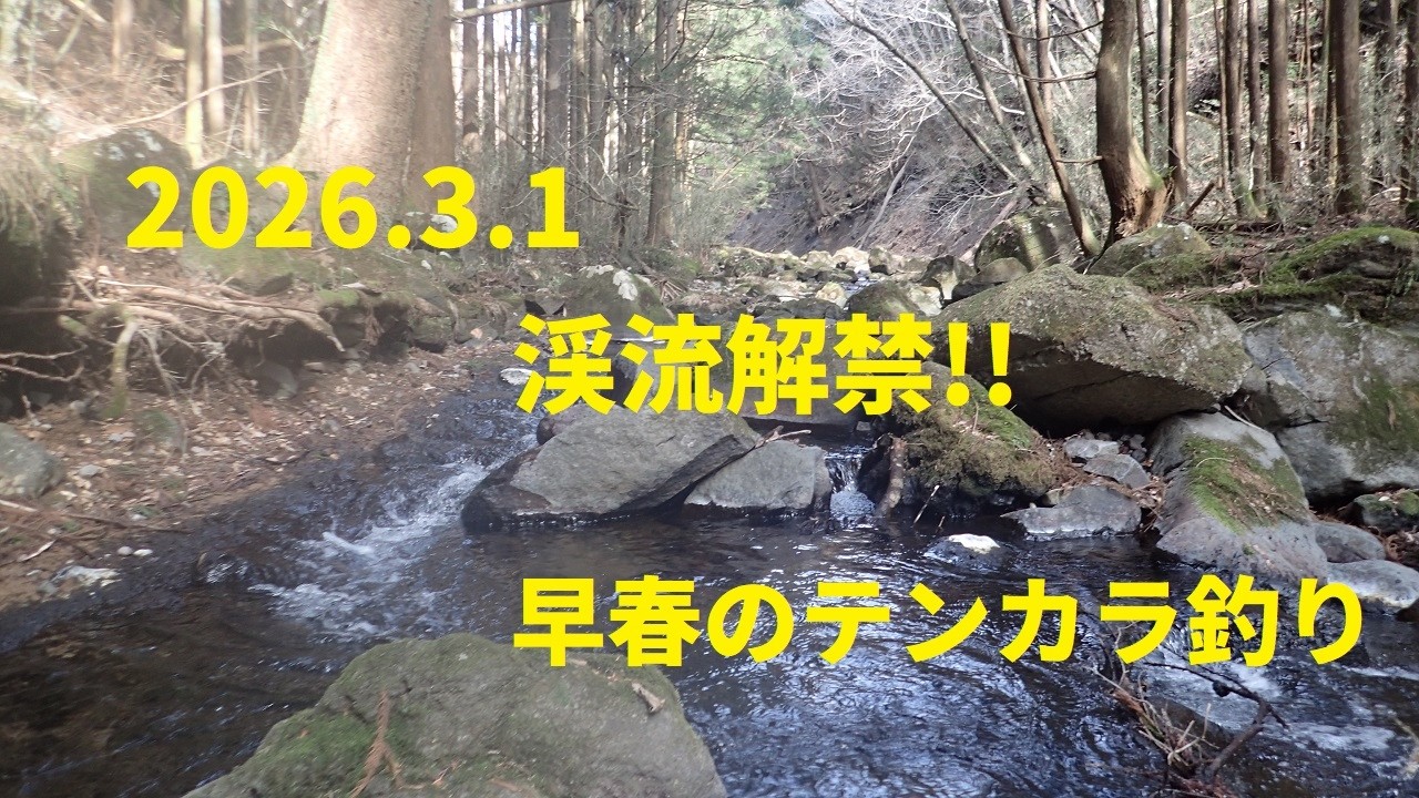 2026 3 1　渓流解禁　テンカラで釣る!!
