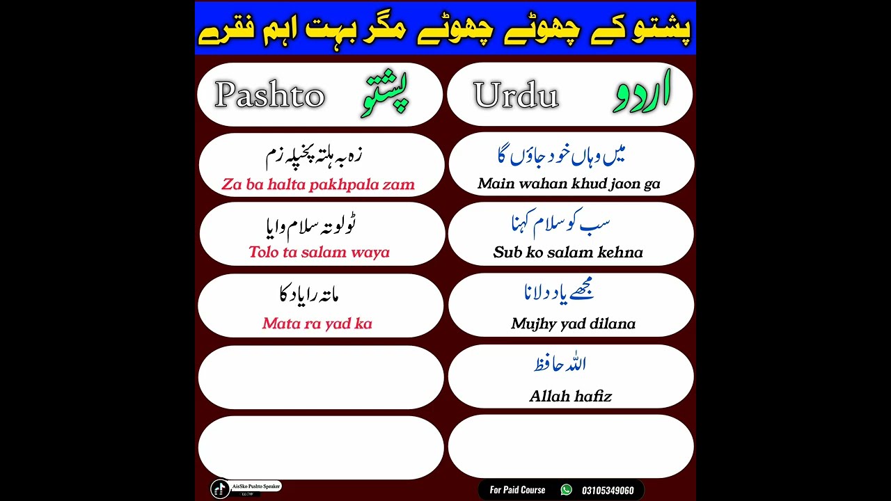 Top 54 Pashto Sentences | Daily Routine New 54 Sentences in Pashto Urdu | Learn Pashto in to urdu