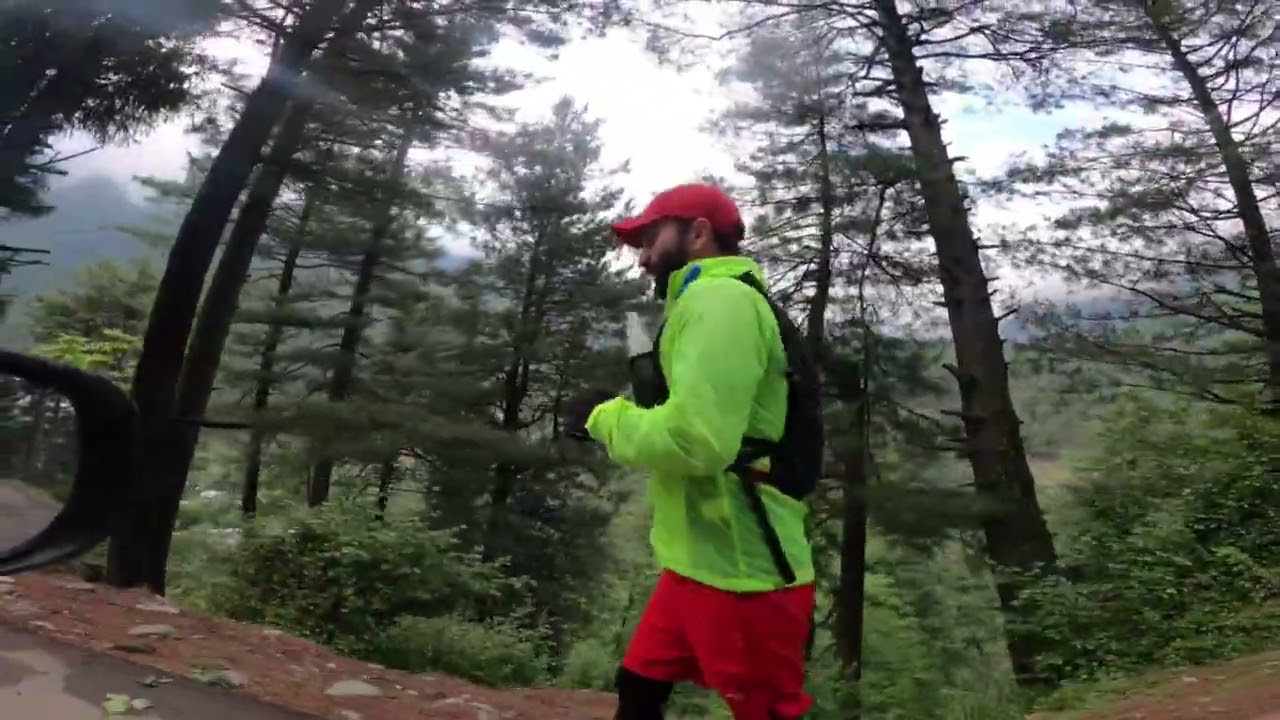 Forest Run