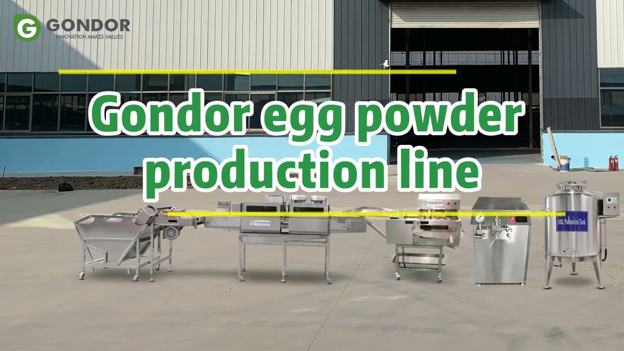 🥚 High-Efficiency Egg Powder Production Line | Gondor Machinery 🚀#eggprotein #healthylifestyle