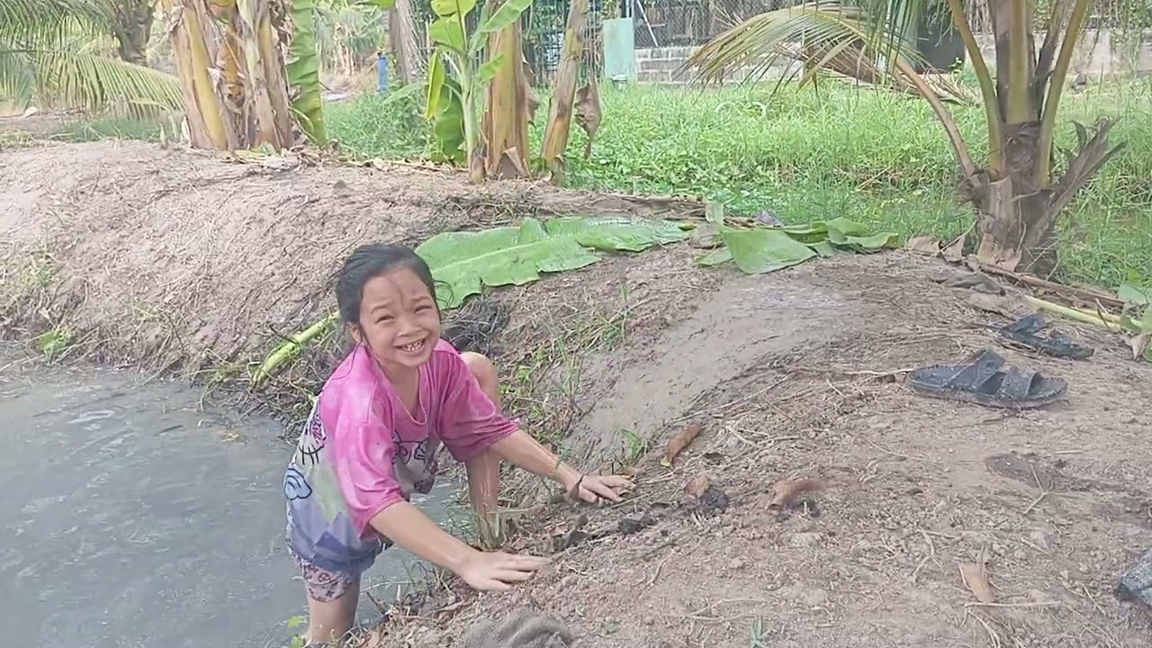 Cà chua và bắp đi mò cá