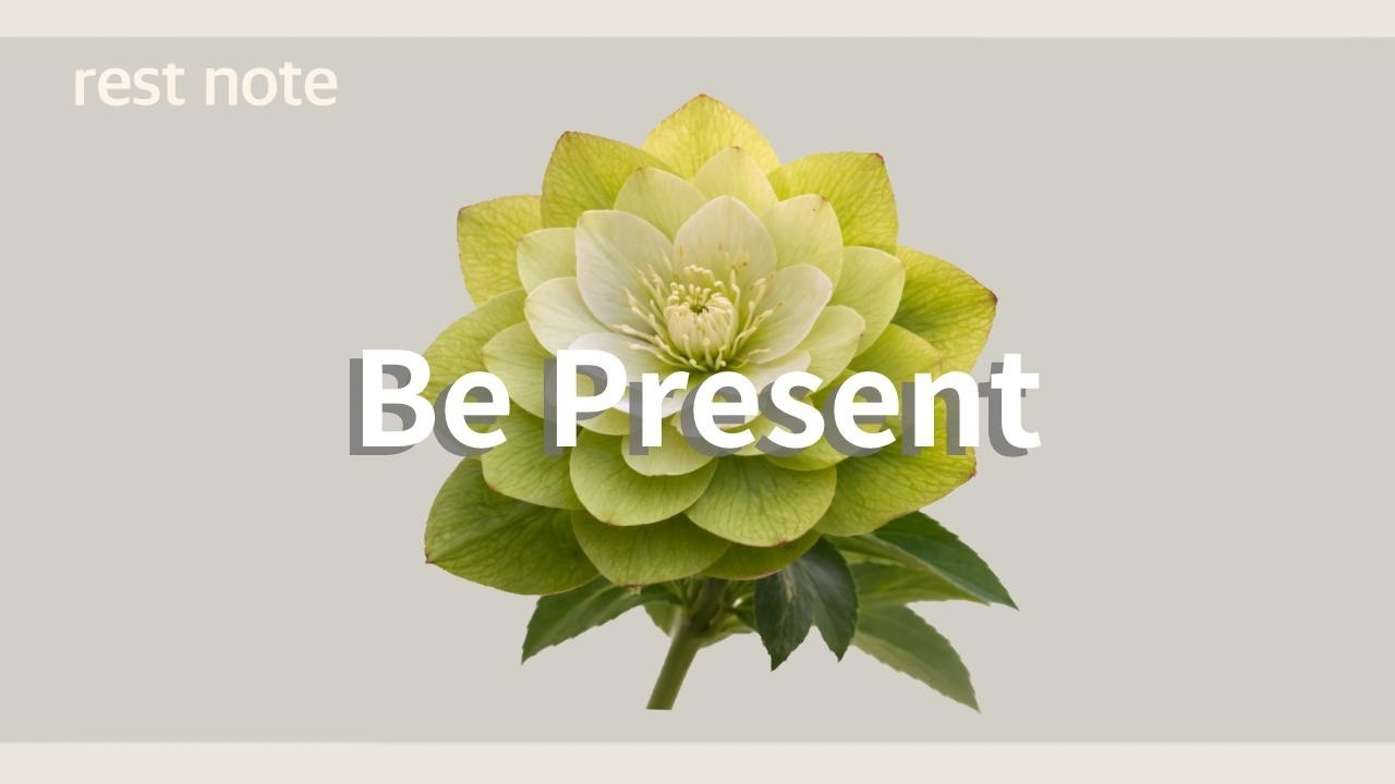 Be Present ｜今ここにいて｜Playlist chill house  lo-fi