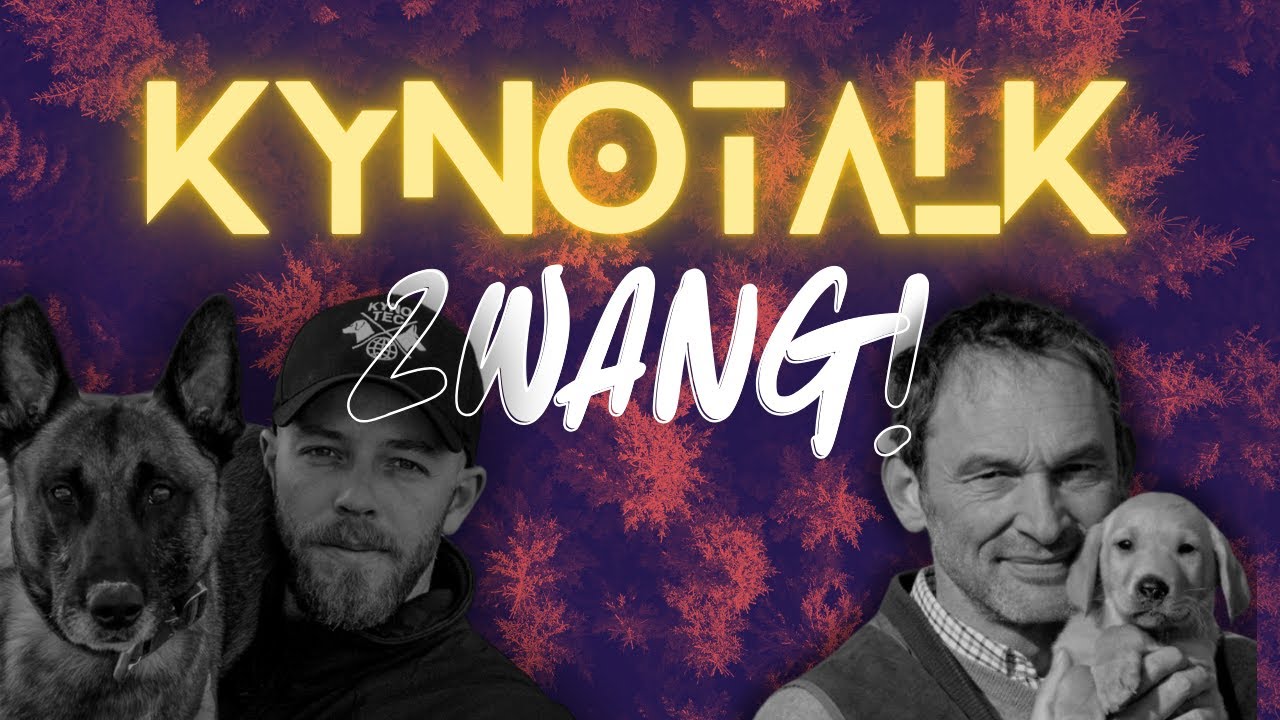 Was hat Hundetraining mit Klavier spielen zu tun? Mit Uwe Heiss