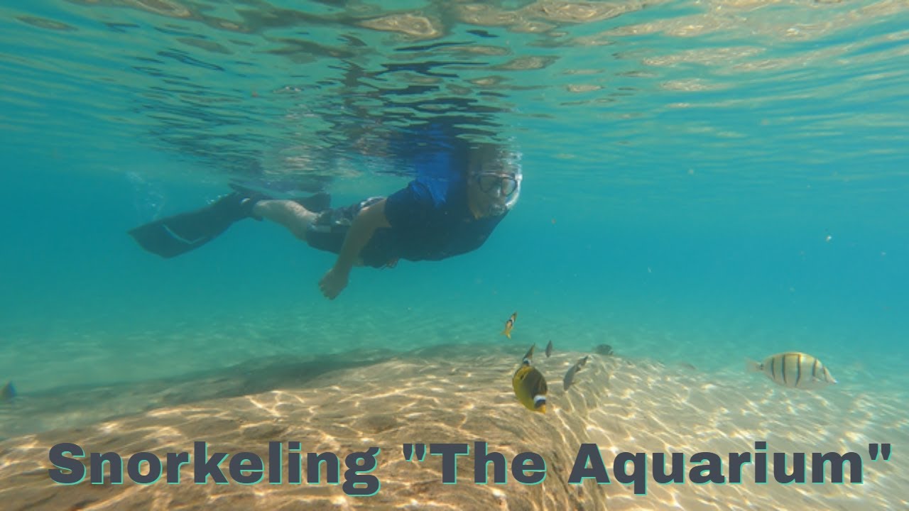 Snorkeling 