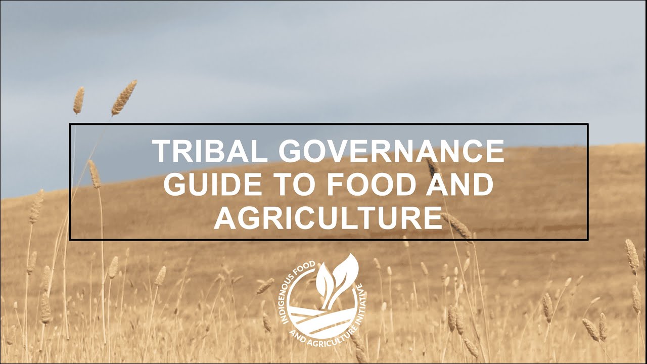 IFAI's 2025 Tribal Governance Guide to Food and Agriculture: Introductory Webinar
