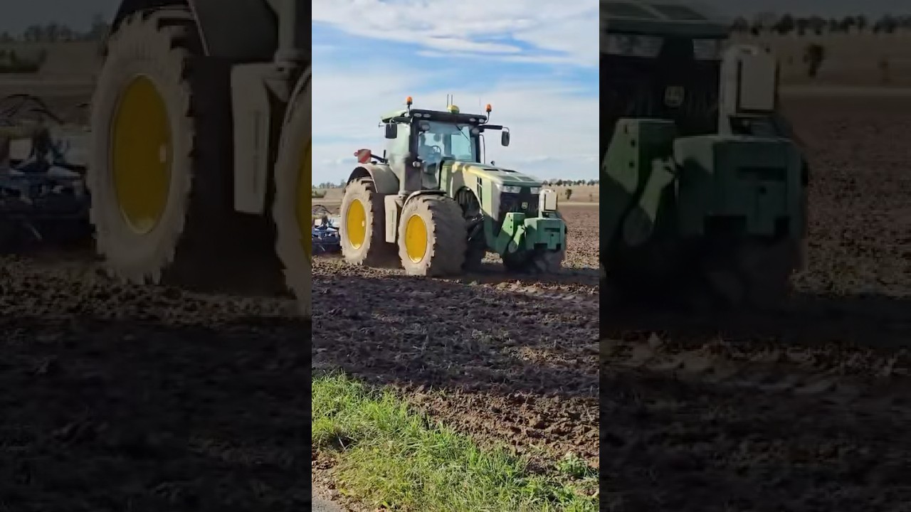 🚜Meeting with John Deere on a walk🚜Thx LadyLus❤️ #johndeere #cultivator #farming #agriculture #short