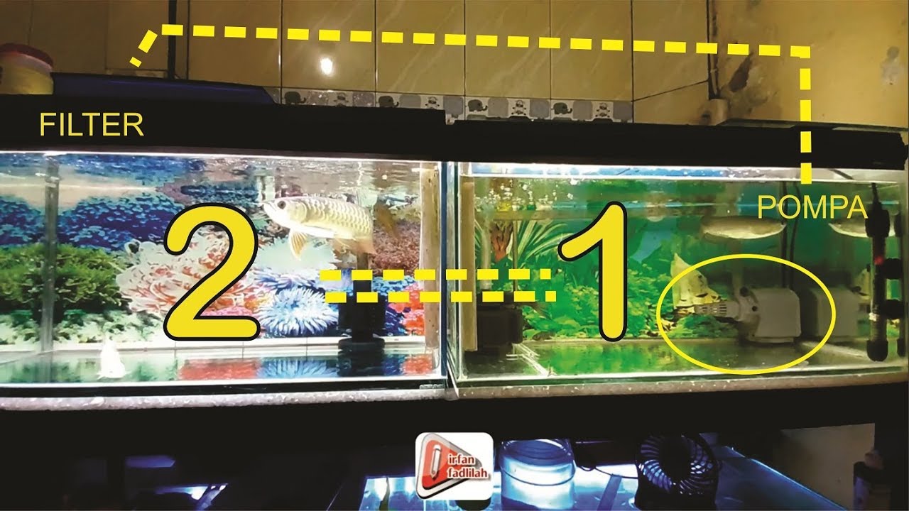 2 Aquarium 1 Filter Hemat Listrik