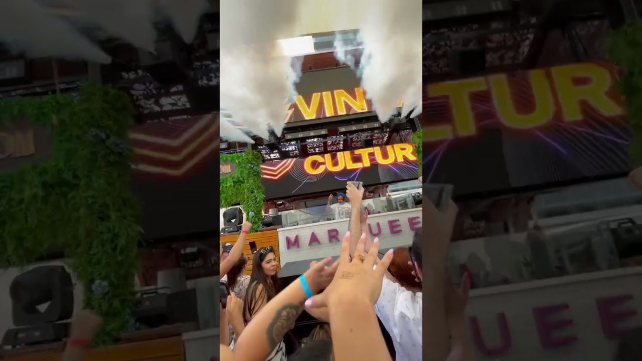 Vintage Culture🪐✨✨#vintageculture#viralvideos#dayparty#vegas#partying#marquee✨✨✨