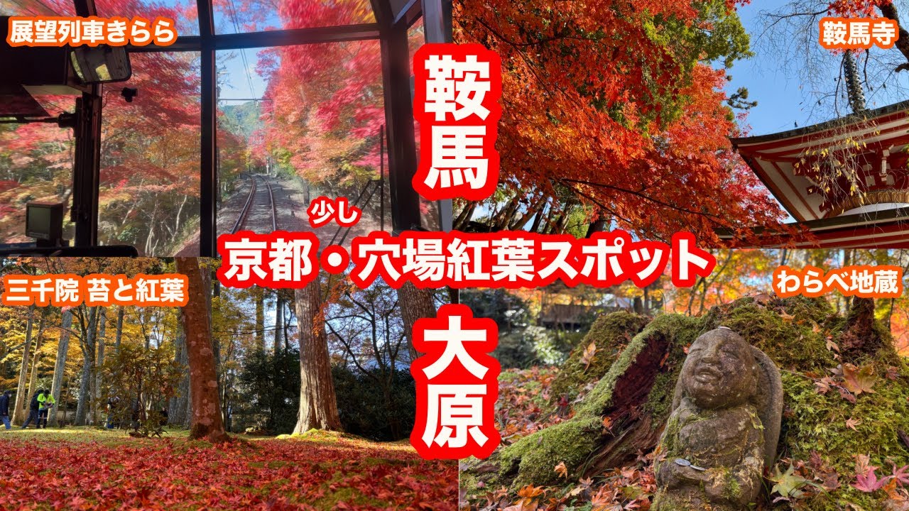 京都・紅葉名所「鞍馬山と大原三千院」に！おすすめ少し穴場スポットです