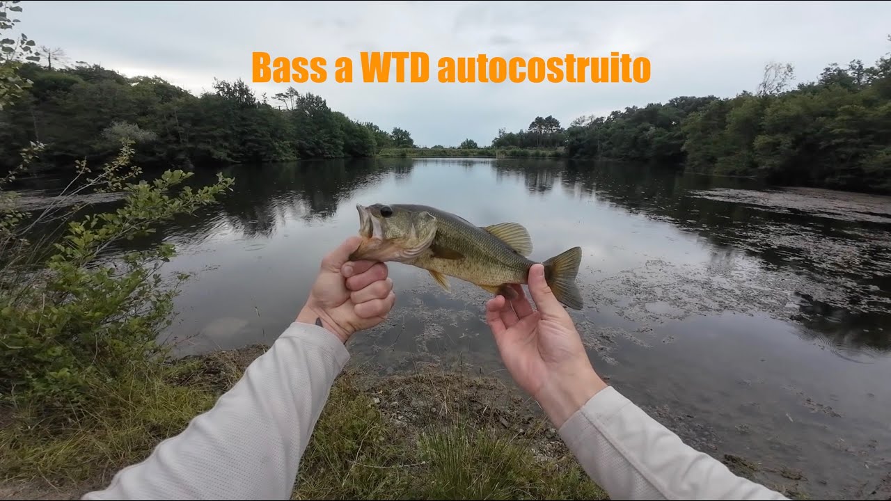 Bass di fine Luglio...catture con WTD autocostruito 