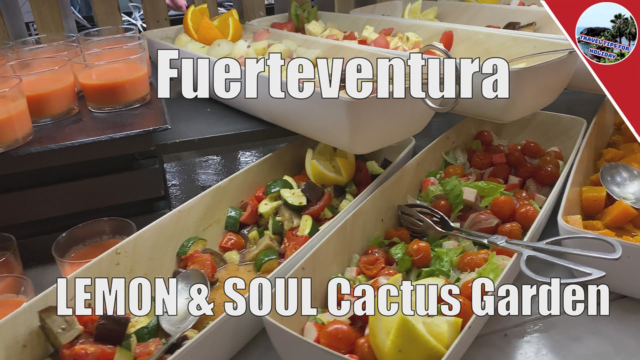 LEMON & SOUL Cactus Garden Hotel Fuerteventura 2023 Morro Jable - Rundgang Essen & Zimmer