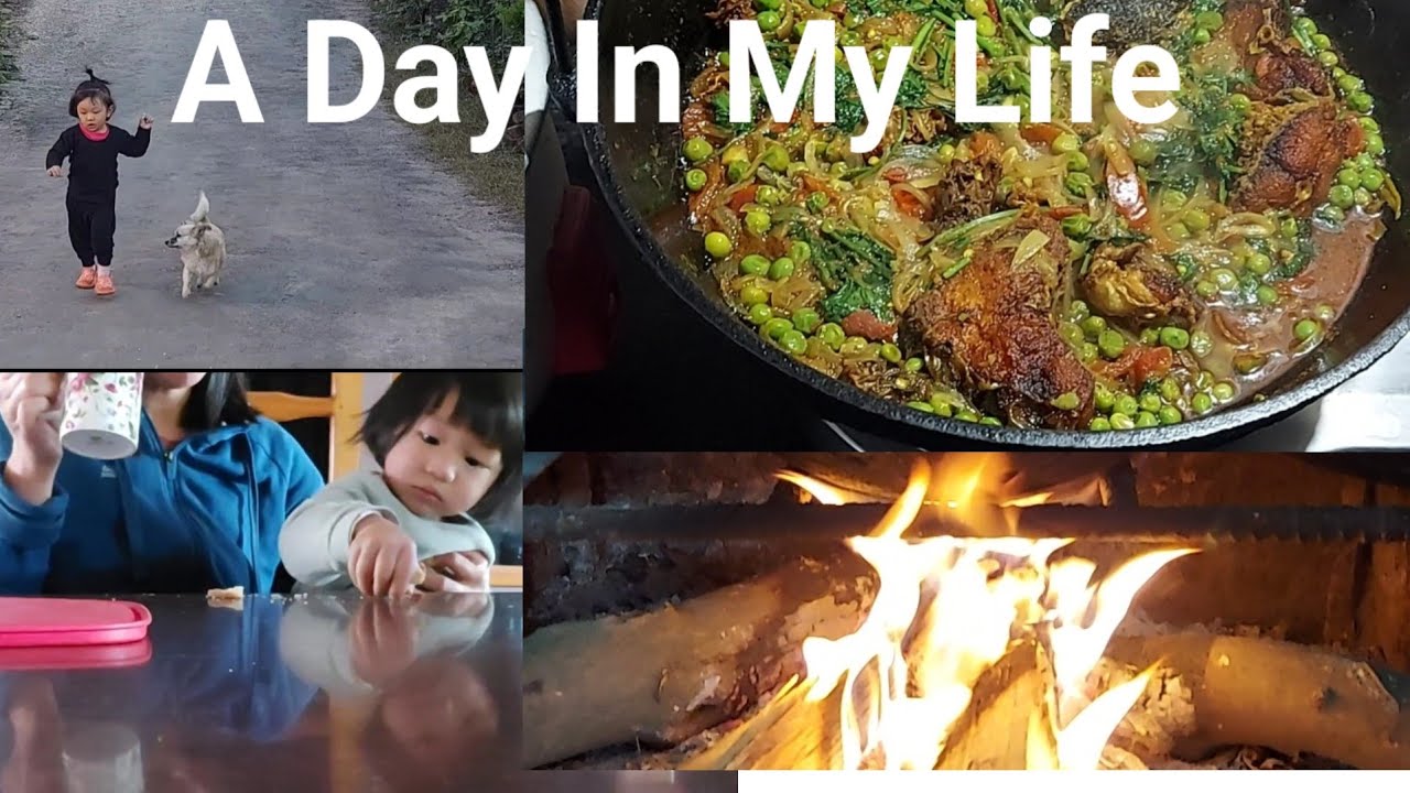 Cooking Fish Curry Over an Open Fire:A Day In My life