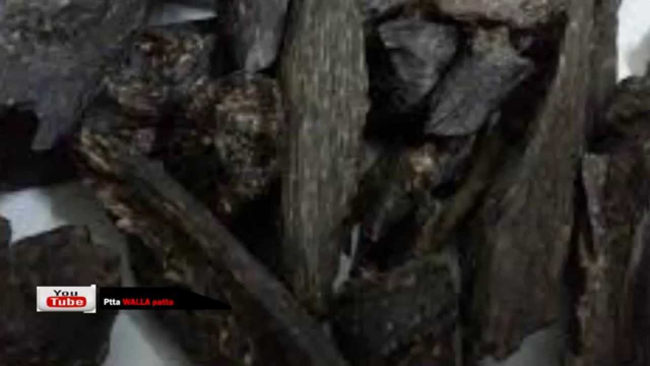 walla patta - Sri Lanka Agarwood