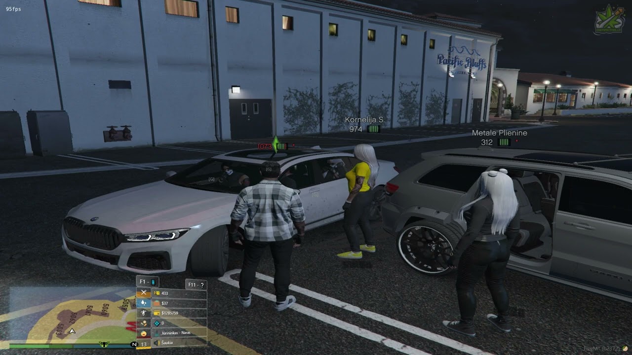 Gražvis ahuelina | Distinctive.LT RP