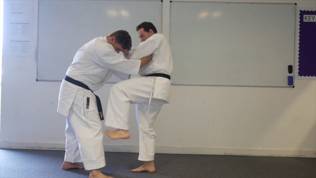 Sochin Karate Kata Bunkai - Progressive Karate Applications