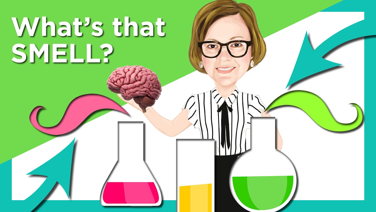 The Science of Smell