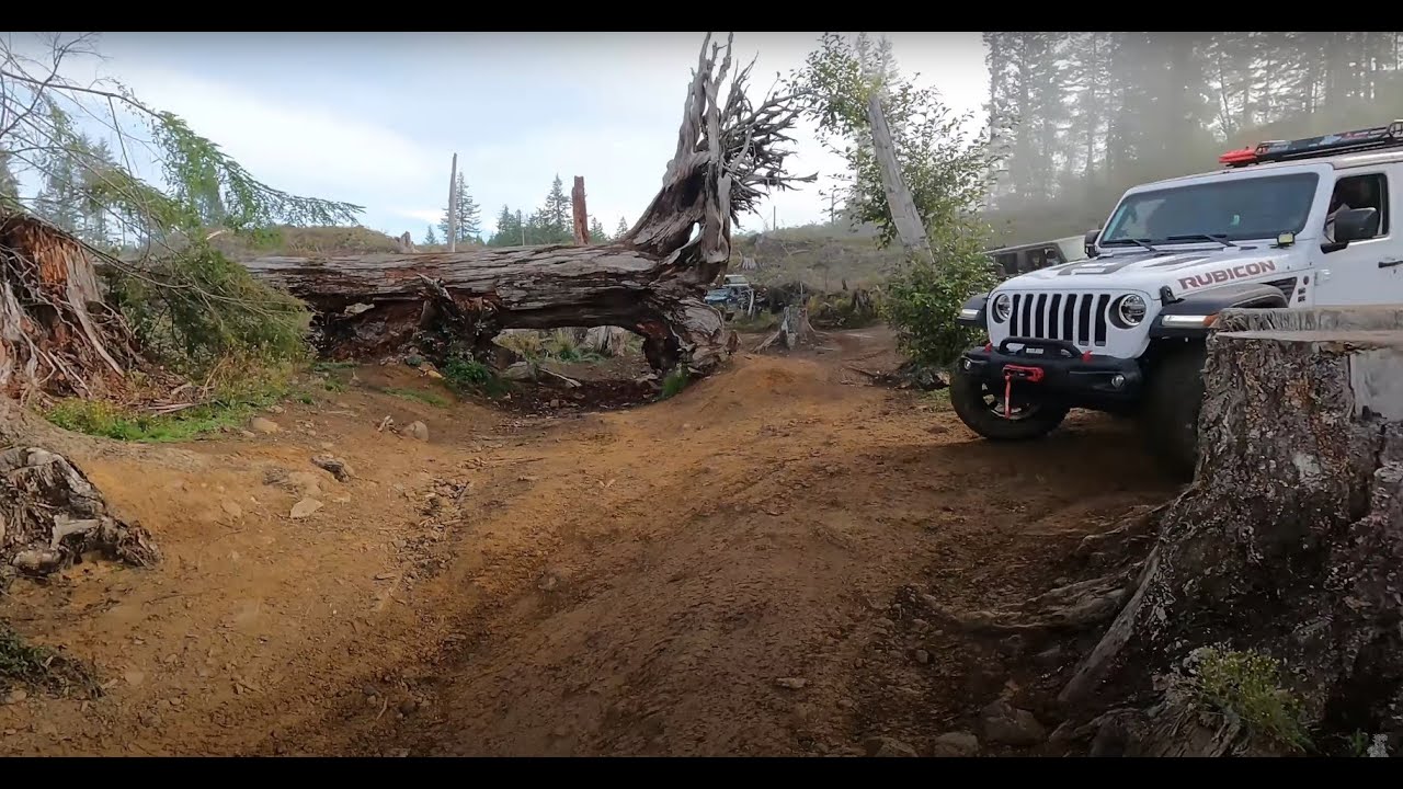 Tillamook Cedar Tree Run beginning to end **real time** (switch to 4K!)