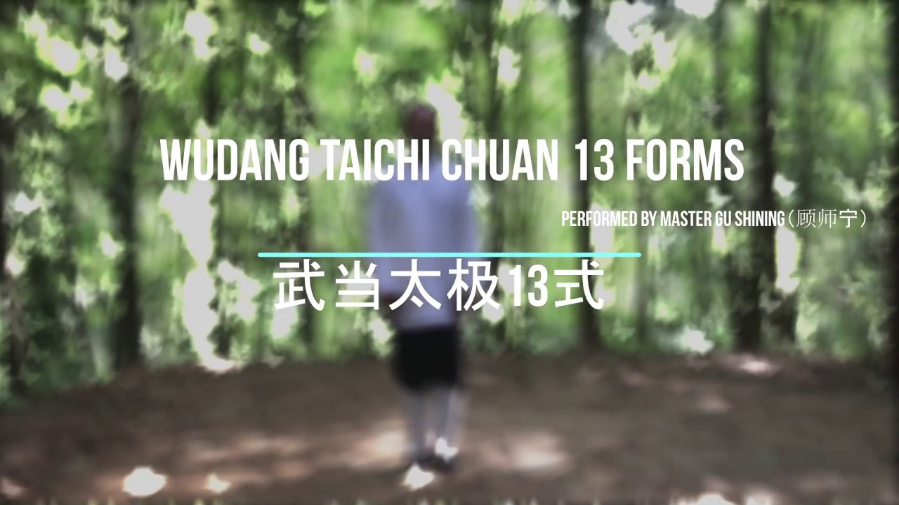 Wudang Tai chi Chuan 13 Forms Presented by Master Gu Shining