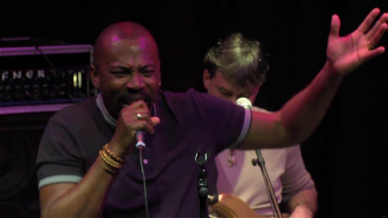 les &Eacute;L&Eacute;PHANTS URBAINS Live 2019
