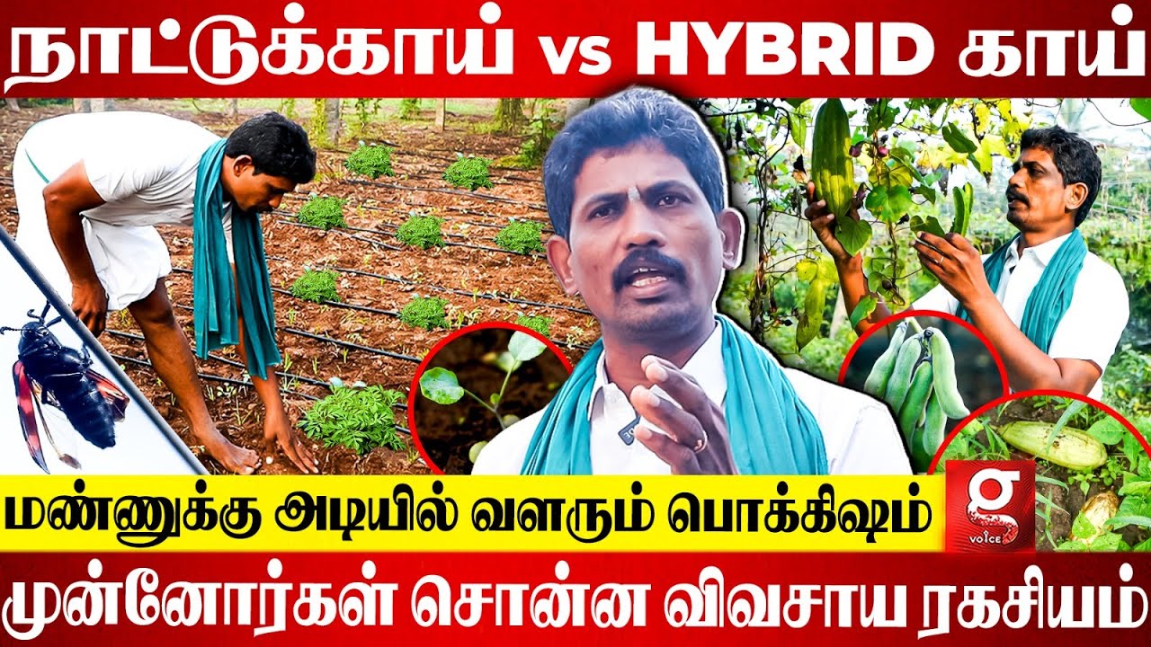 வீட்டுக்குள்ள இயற்கை விவசாயம் பண்ண முடியுமா?😍🔥 Organic Natural Farm Live Visit🌾 | Hybrid | Vivasayam
