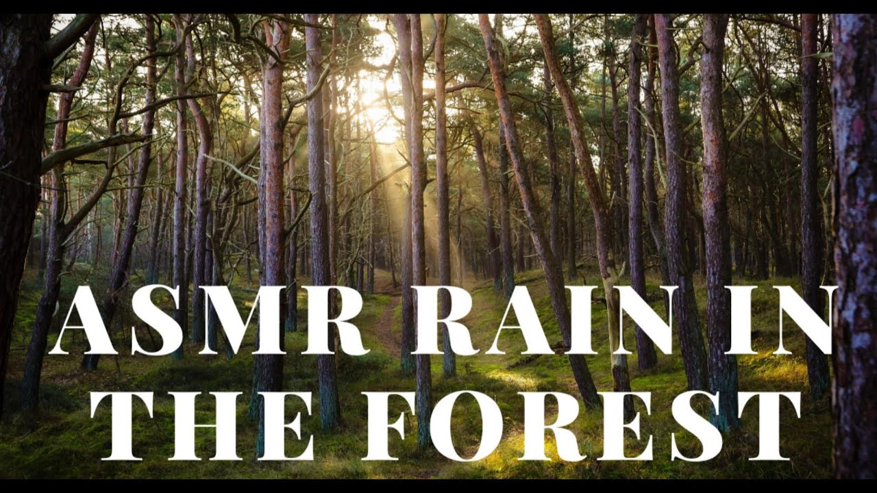 ASMR RAIN IN  THE FOREST, GOOD FOR HEALTH