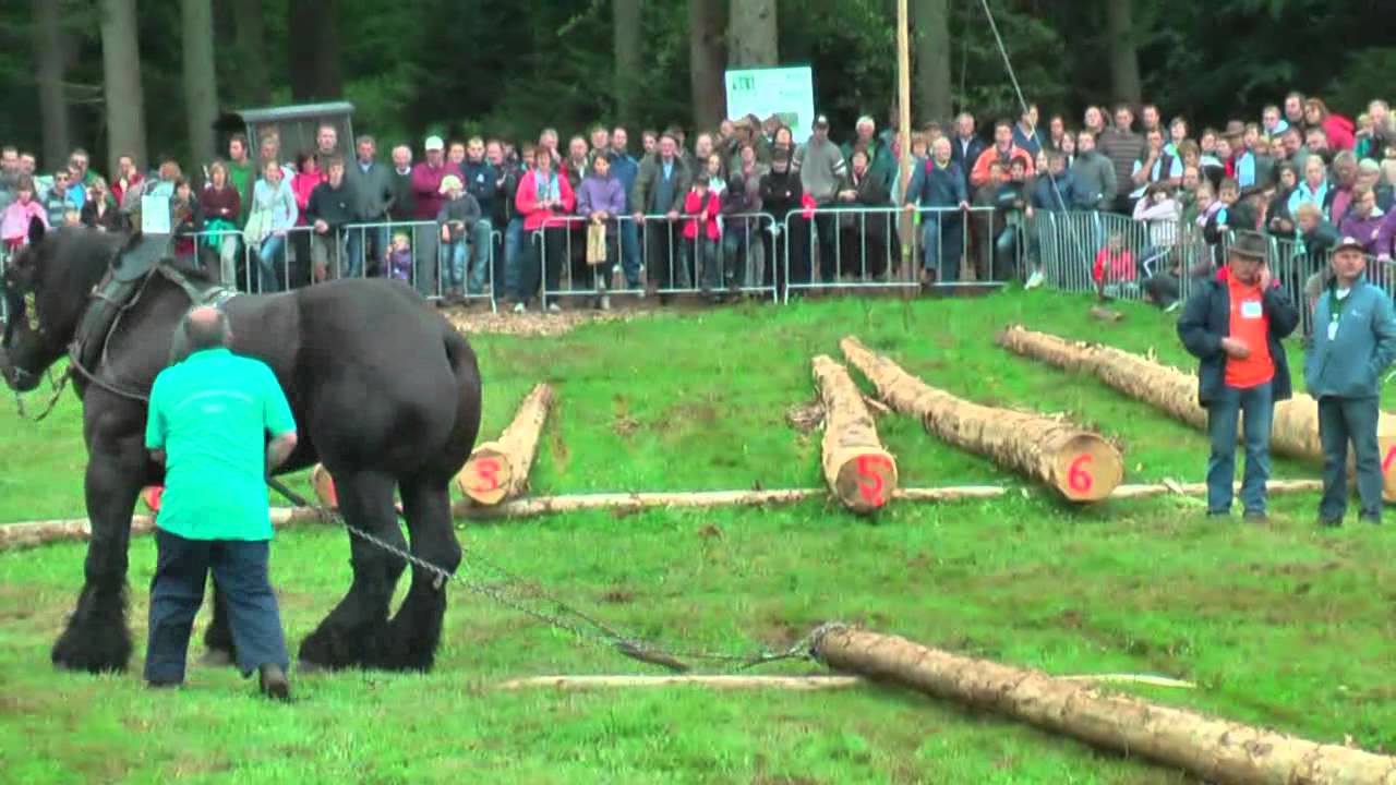 Concours de Débardage