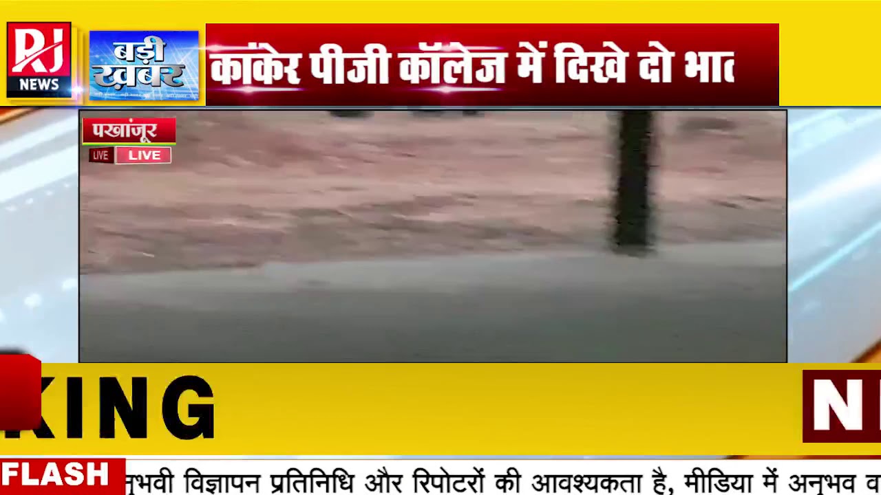 Kanker : वनपरिक्षेत्र के PG College में दिखे 2 भालु आसपास इलाके में घूमने से रहवासी परेशान