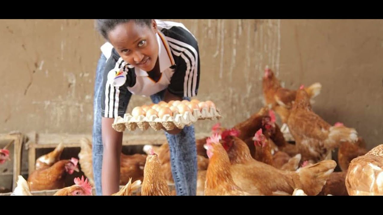 Breaking Barriers: Empowering Women and Transforming Communities through Poultry Farming