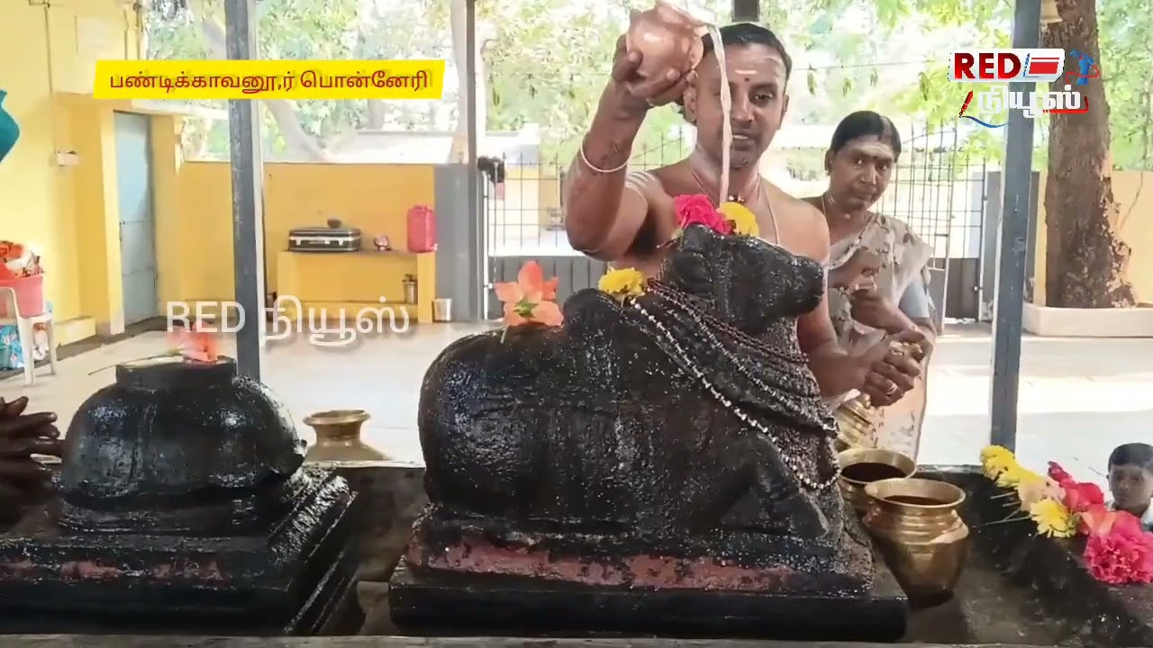 பண்டிக்காவனூர் சிவா விஷ்ணு கோவிலில் மாசி பிரதோஷ விழா... 