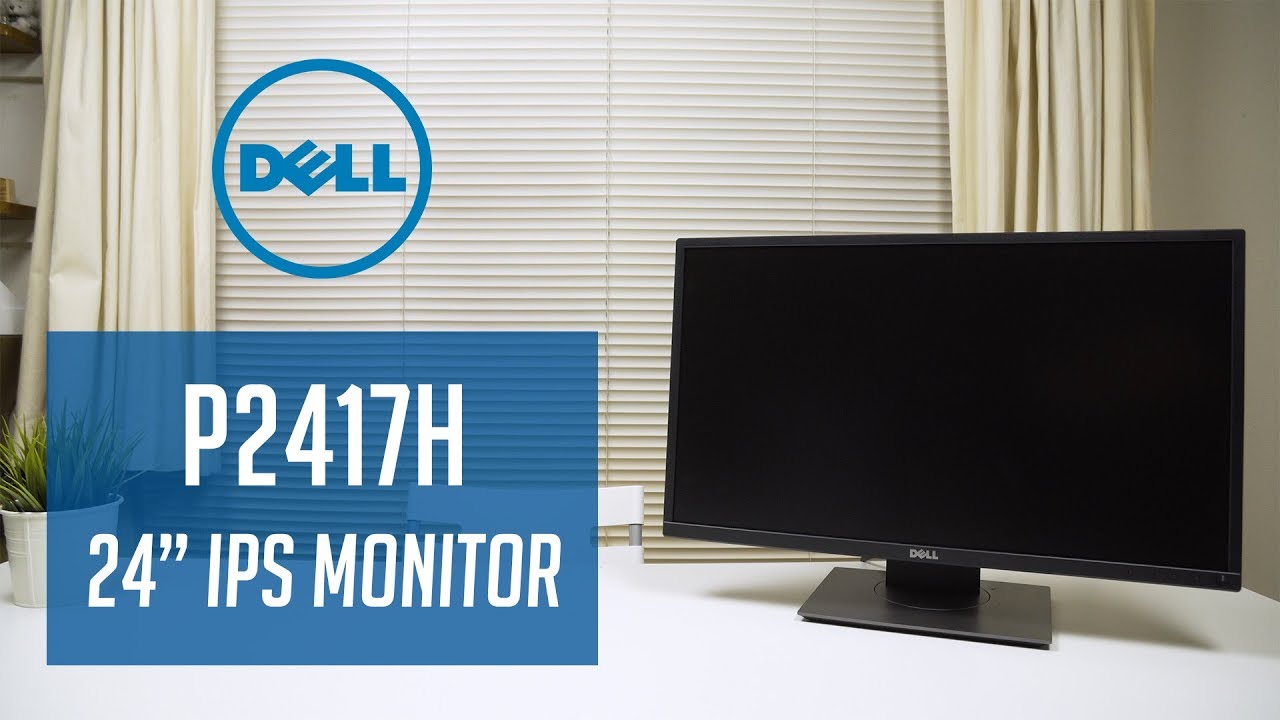 Dell Professional 24