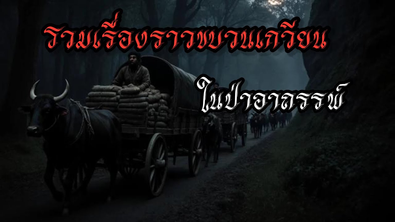 รวมเรื่องราวขบวนเกวียนในป่าลืก #เล่าเรื่องผี #เล่าเรื่อง #ghost #horror 