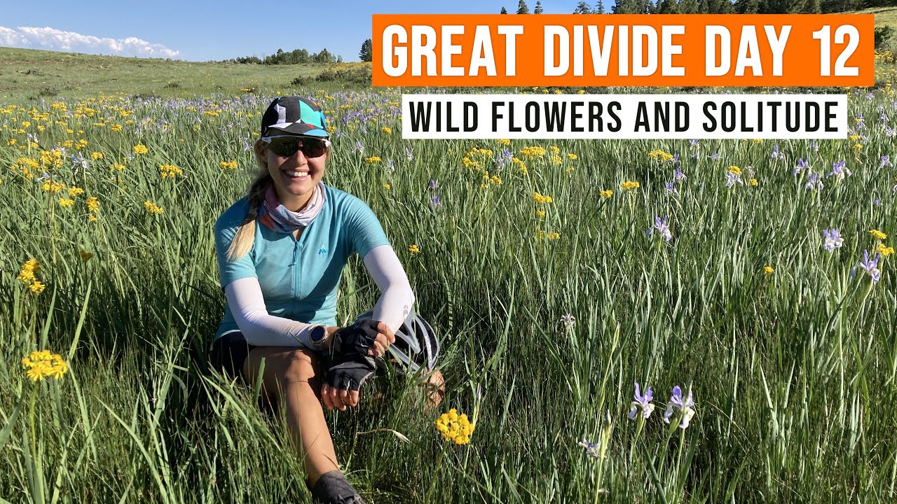 The Great Divide (GDMBR) - Northbound - Bikepacking - Day 12 - Wild Flowers & Solitude, North NewMex