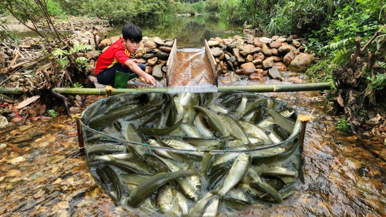 The boy caught a huge catch of fish in a trap he made himself.