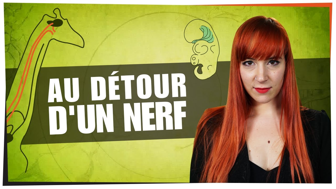 Au détour d'un nerf - Castor Mother #04 - String Theory