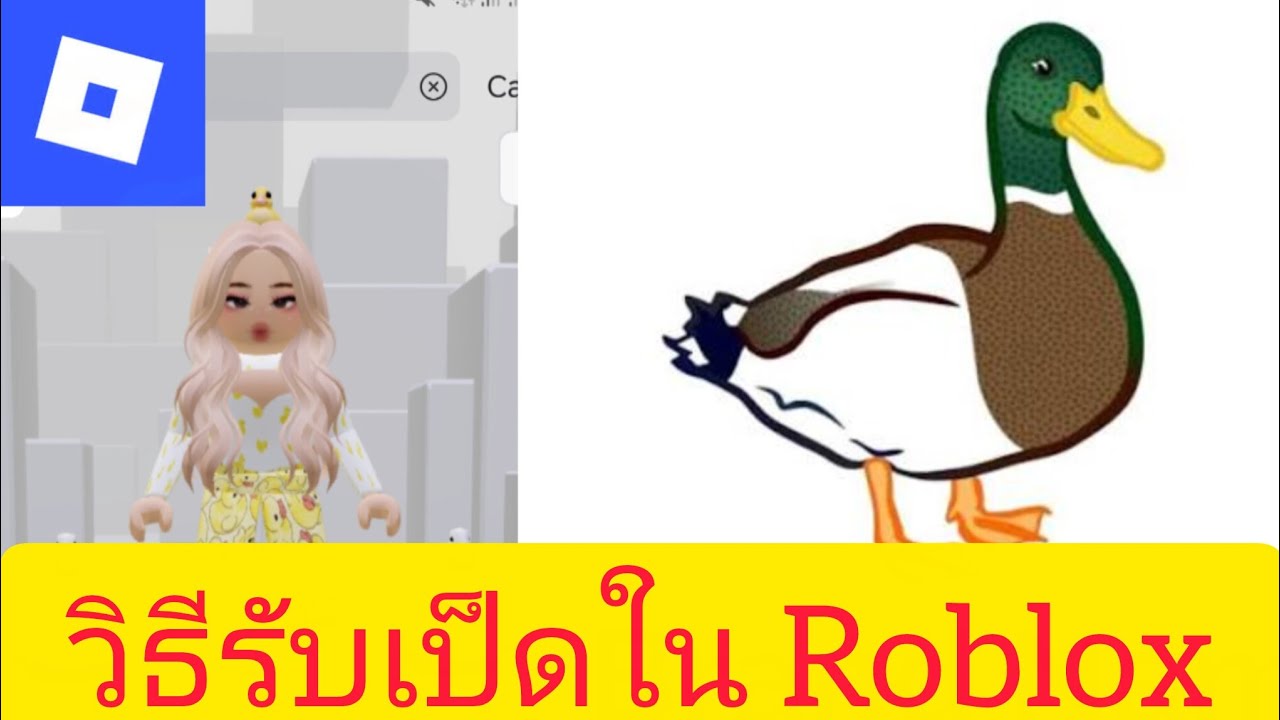 วิธีรับเป็ดใน Roblox