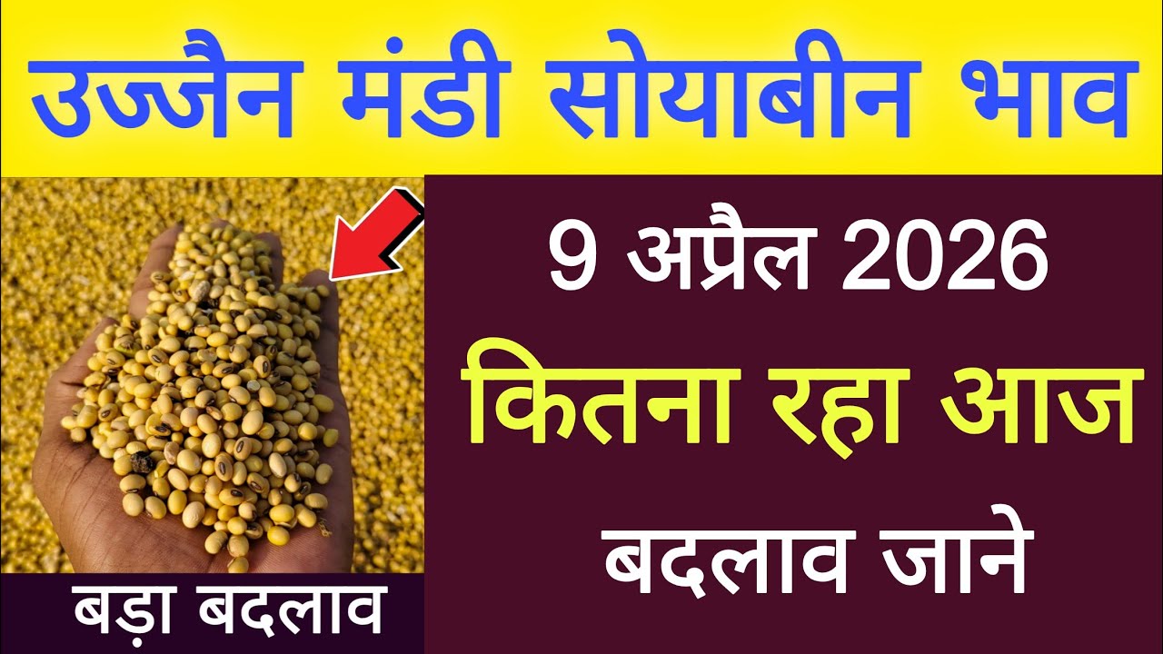 soyabin bhav Ujjain mandi l 09 April 2026 l ujjain mandi bhav Today l live bhav