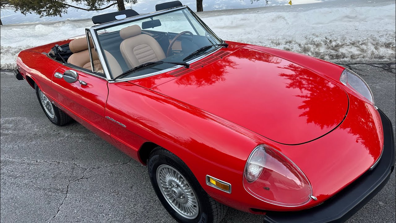 1981 Alfa Romeo Spider Veloce 1/31/26