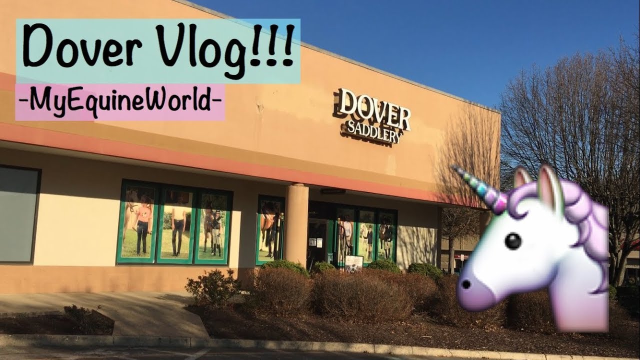 Dover Vlog! || A trip to Dover, Mall, and More!!
